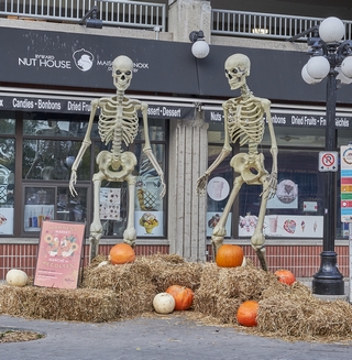 Ottawa    <em>(Marché By)</em>   |   3  /  24    | 